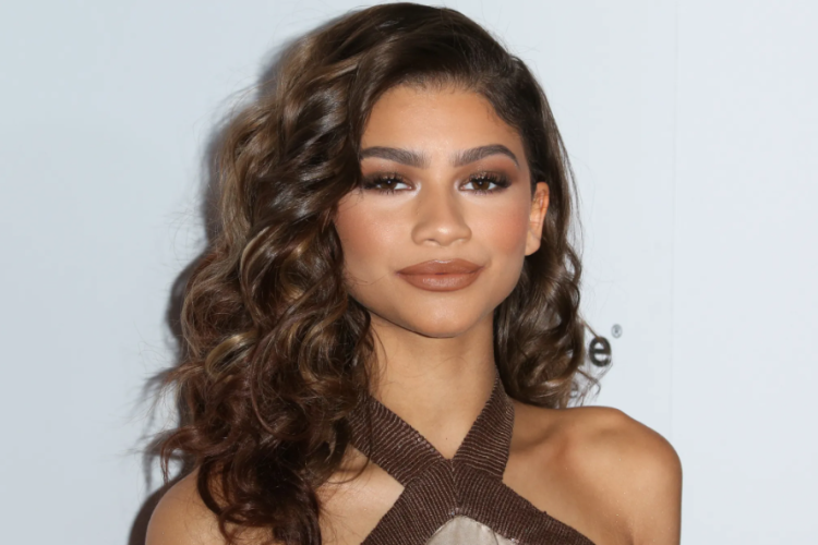 Profil dan Biodata Zendaya, Pemeran Rue Bennett di Serial Euphoria Season 3