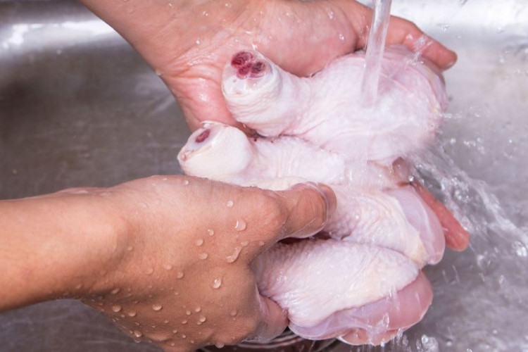 Daging Ayam Mentah Ternyata Tidak Boleh Dicuci, Begini Cara Menyimpan dan Tips Aman Mengolahnya di Rumah