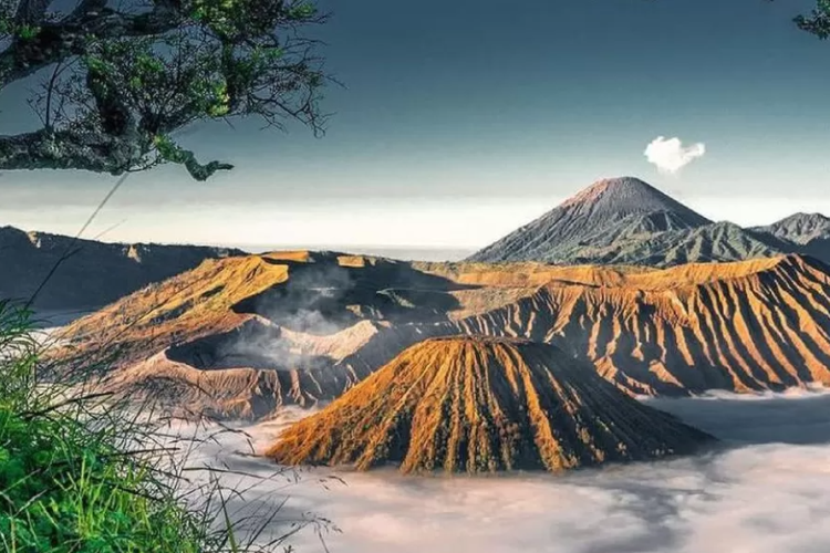 Hanya Seminggu! Wisata Gunung Bromo Tutup Sementara Guna Pemulihan Ekosistem Usai Lonjakan Wisatawan