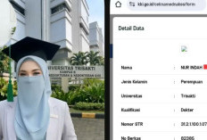 Profil dan Biodata Nur Indah yang Diduga Dokter Gadungan Ketahuan Pakai AI Buat Bikin STR Palsu