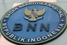 Cara Membuat Permohonan SKBN (Surat Keterangan Bebas Narkoba), Penting Untuk Berkas Pendaftaran CPNS 2026