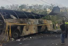 Kecelakaan Maut Bus ALS vs Truk BBM di Muratara, 16 Orang Tewas dalam Insiden!