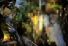 Innalillahi! Helikopter PX-CFX PT Matthew Air Ditemukan Jatuh di Sekandau, Seluruh Awak Meninggal Dunia