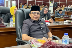 Profil Fachrulsyah Anggota DPRD Kota Bengkulu yang Disorot Usai Istrinya Laporkan ART Kasus Cubit Anak