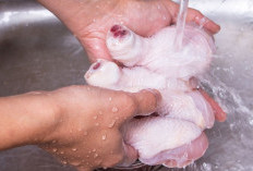 Daging Ayam Mentah Ternyata Tidak Boleh Dicuci, Begini Cara Menyimpan dan Tips Aman Mengolahnya di Rumah