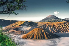 Hanya Seminggu! Wisata Gunung Bromo Tutup Sementara Guna Pemulihan Ekosistem Usai Lonjakan Wisatawan