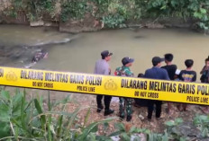 Lansia Meninggal Mengapung di Dermaga Pelabuhan Petrokimia Gresik Sudah Dievakuasi, Penyebab Kematian Masih Proses Investigasi